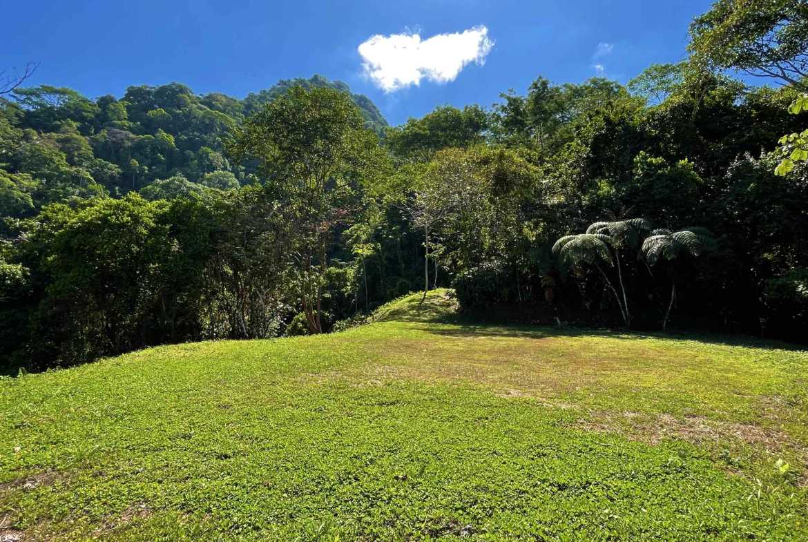 Wildlife-Rich Building Lot with Mountain and Ocean Views, photo 12 of 20