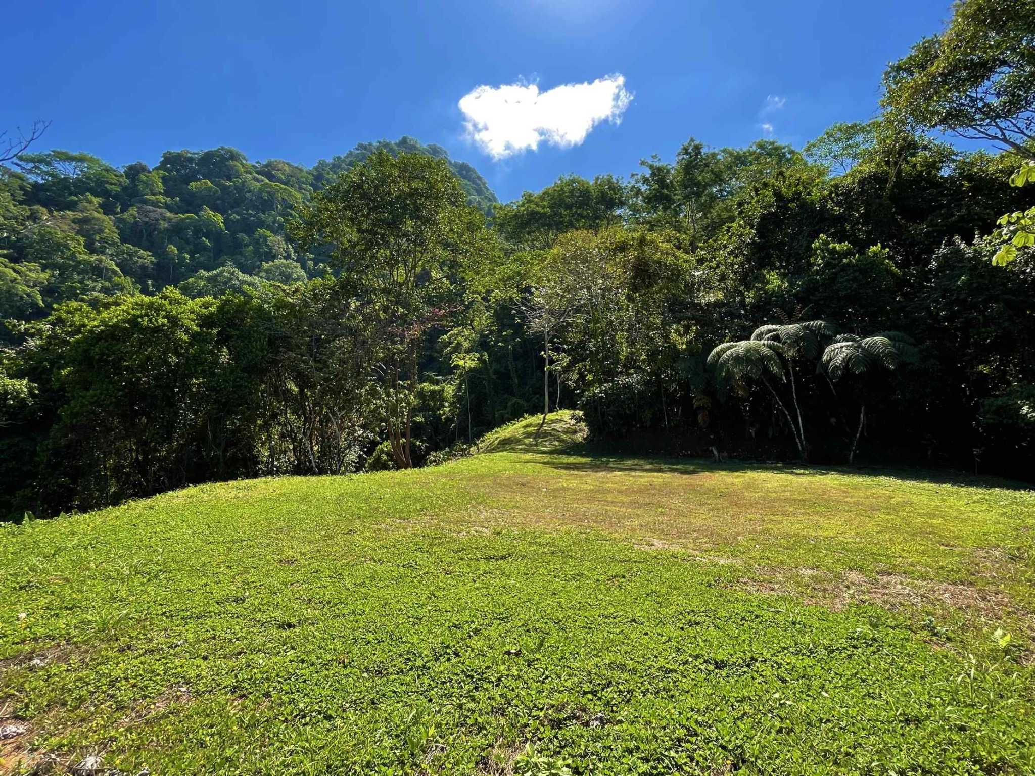 74954-12 Breathtaking Wildlife-Rich Building Lot with Mountain and Ocean Views in Ojochal Costa Rica