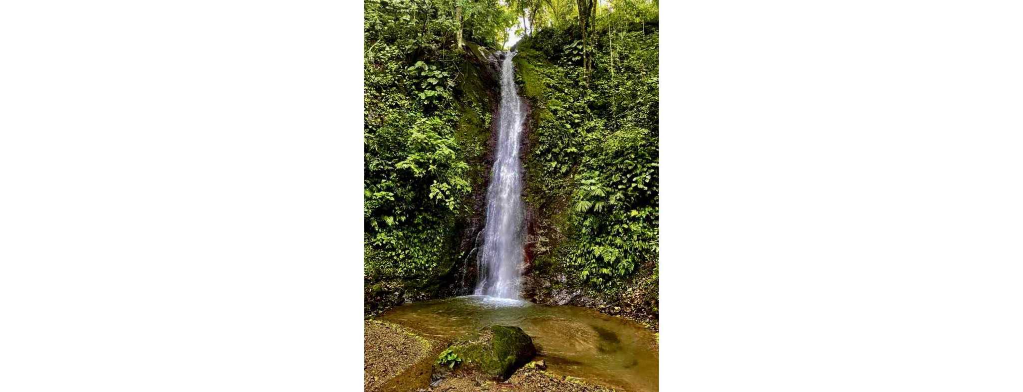 74954-15 Breathtaking Wildlife-Rich Building Lot with Mountain and Ocean Views in Ojochal Costa Rica