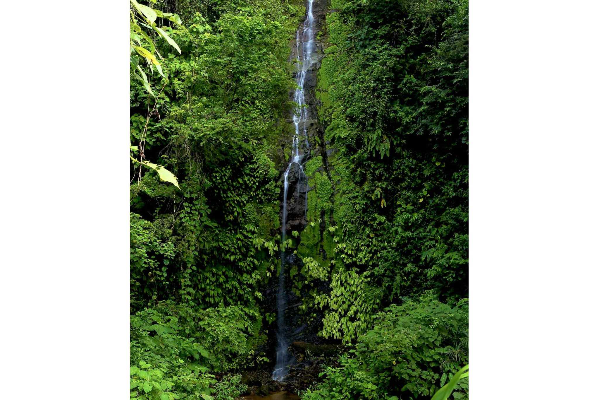 74954-16 Breathtaking Wildlife-Rich Building Lot with Mountain and Ocean Views in Ojochal Costa Rica