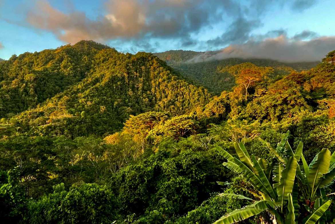 Wildlife-Rich Building Lot with Mountain and Ocean Views, photo 17 of 20