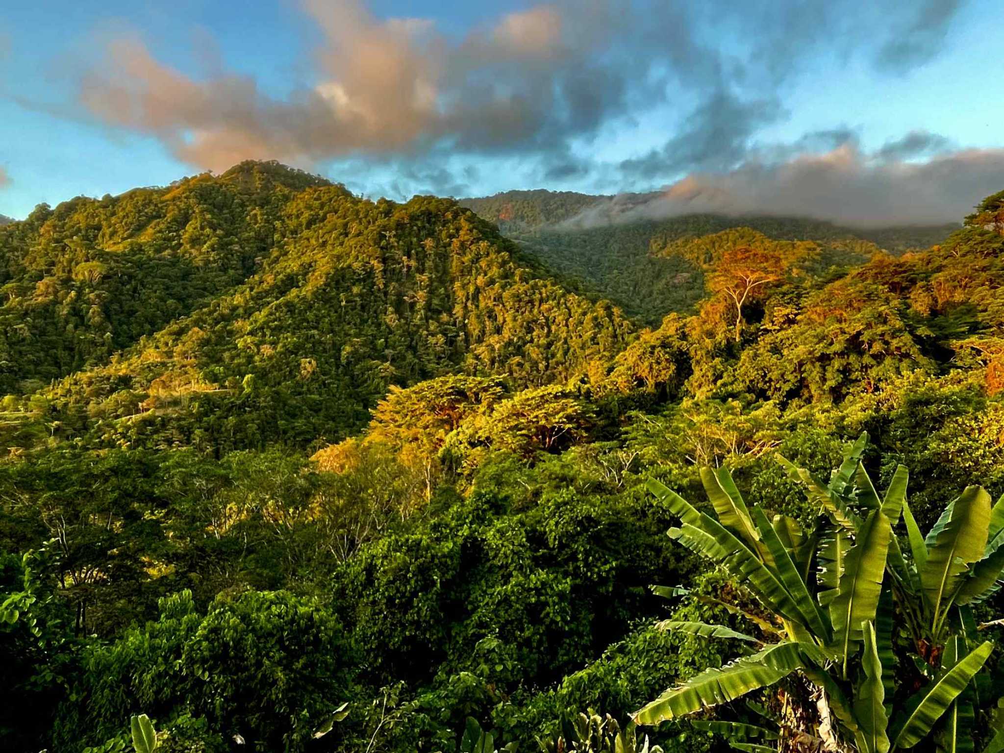 74954-17 Breathtaking Wildlife-Rich Building Lot with Mountain and Ocean Views in Ojochal Costa Rica
