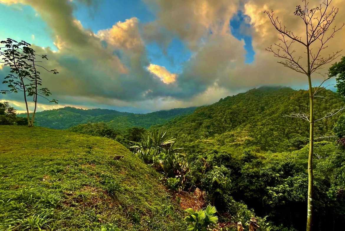 Wildlife-Rich Building Lot with Mountain and Ocean Views, photo 19 of 20