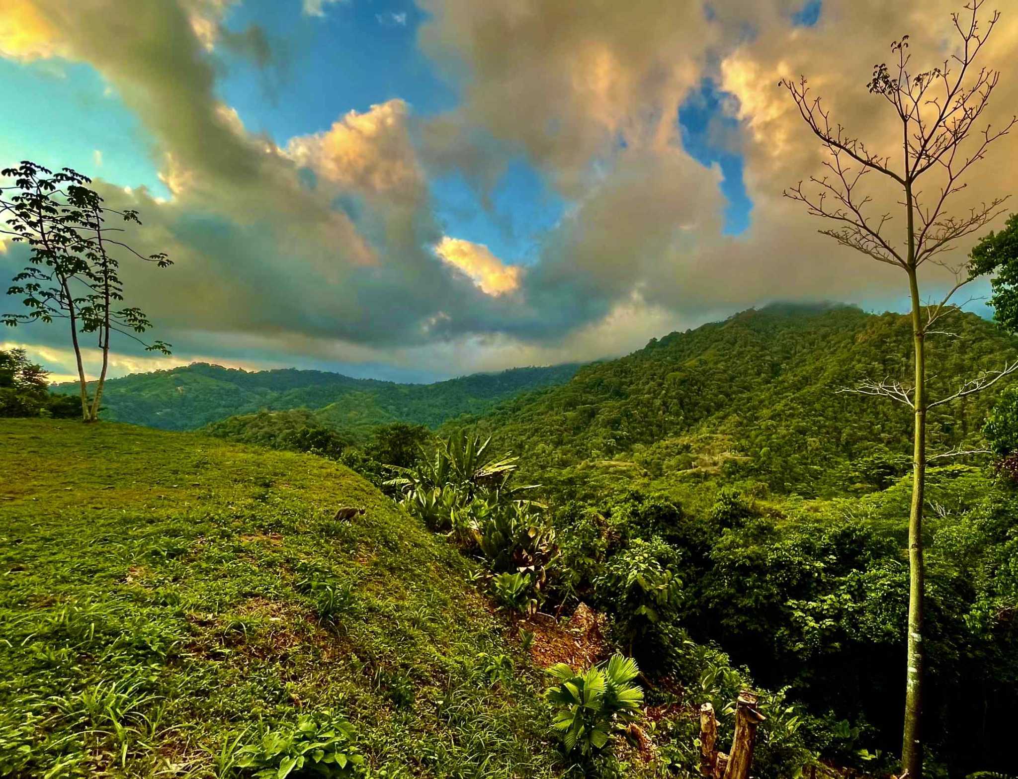 74954-19 Breathtaking Wildlife-Rich Building Lot with Mountain and Ocean Views in Ojochal Costa Rica