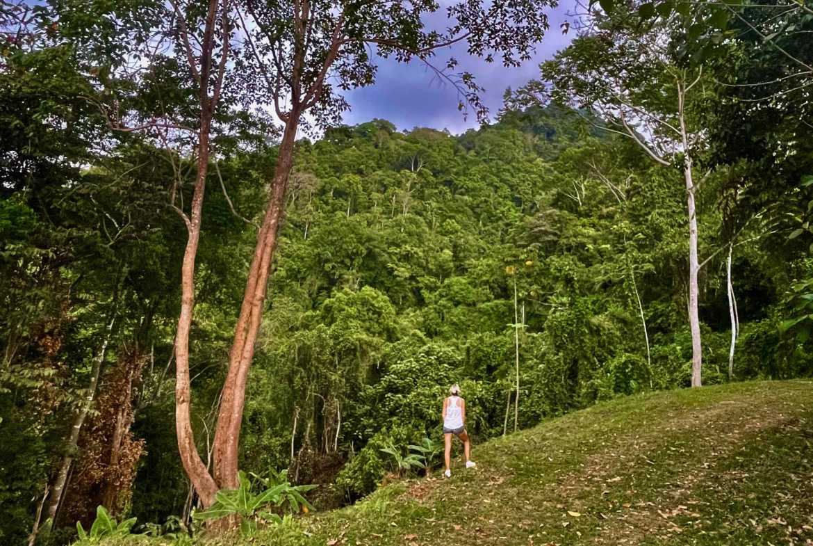 Wildlife-Rich Building Lot with Mountain and Ocean Views, photo 20 of 20