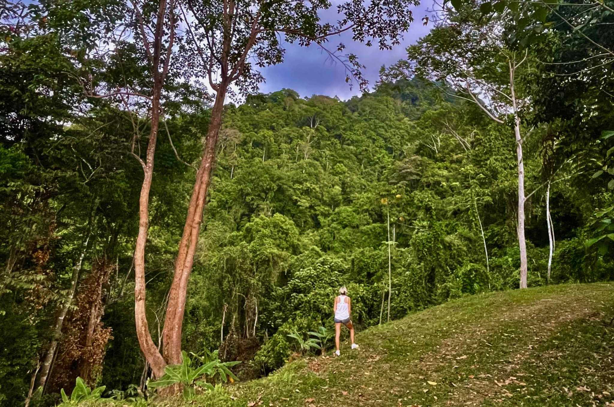 74954-20 Breathtaking Wildlife-Rich Building Lot with Mountain and Ocean Views in Ojochal Costa Rica