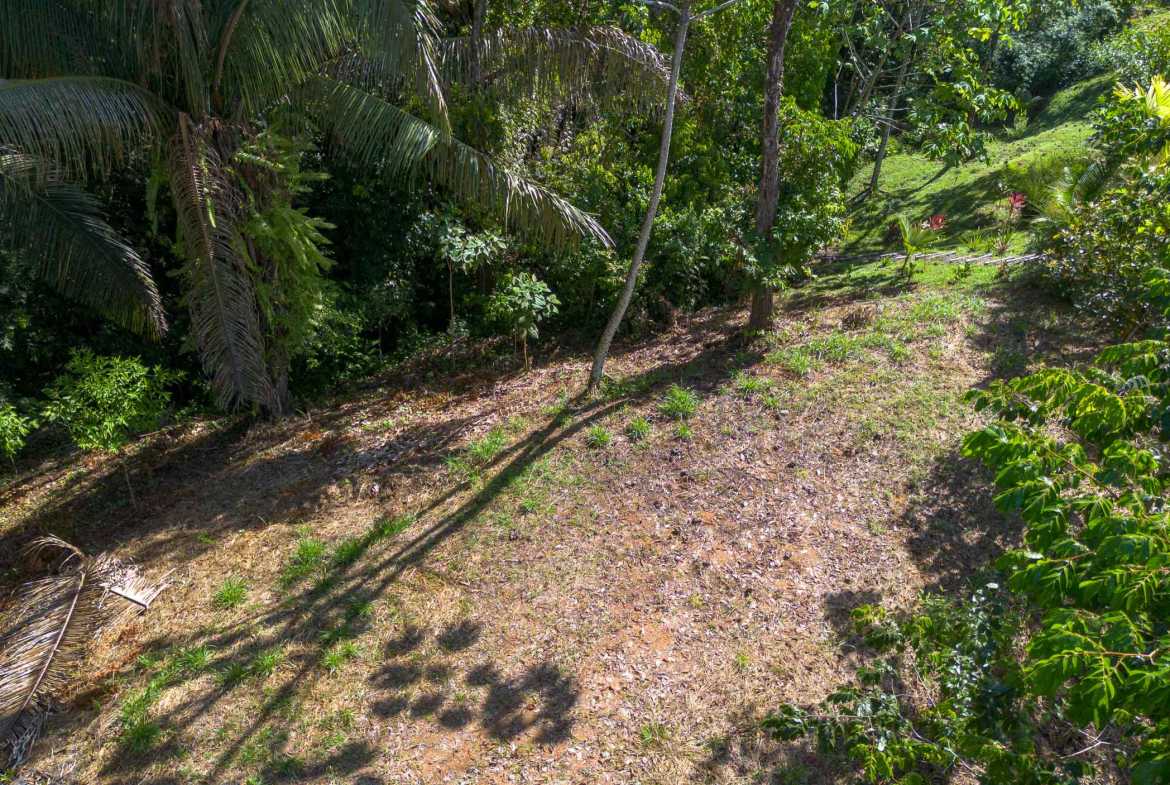 Twin Jungle-View 2+ Acre Building Lots with Legal Water in Uvita Costa Rica