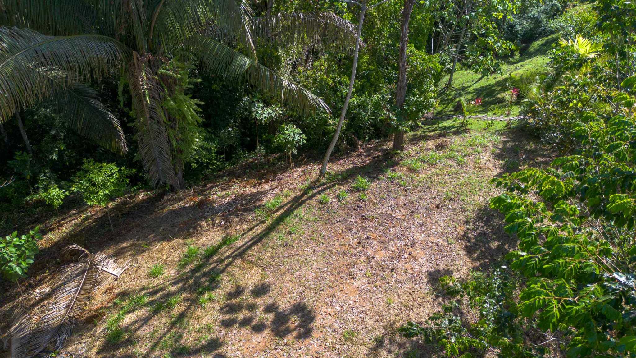74956-1 Twin Jungle-View 2+ Acre Building Lots with Legal Water in Uvita Costa Rica