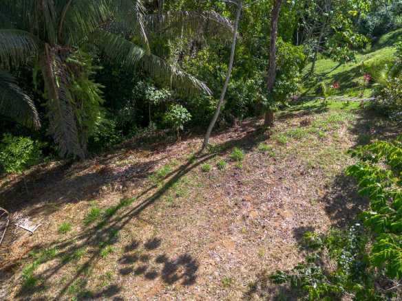 Twin Jungle-View 2+ Acre Building Lots with Legal Water in Uvita Costa Rica