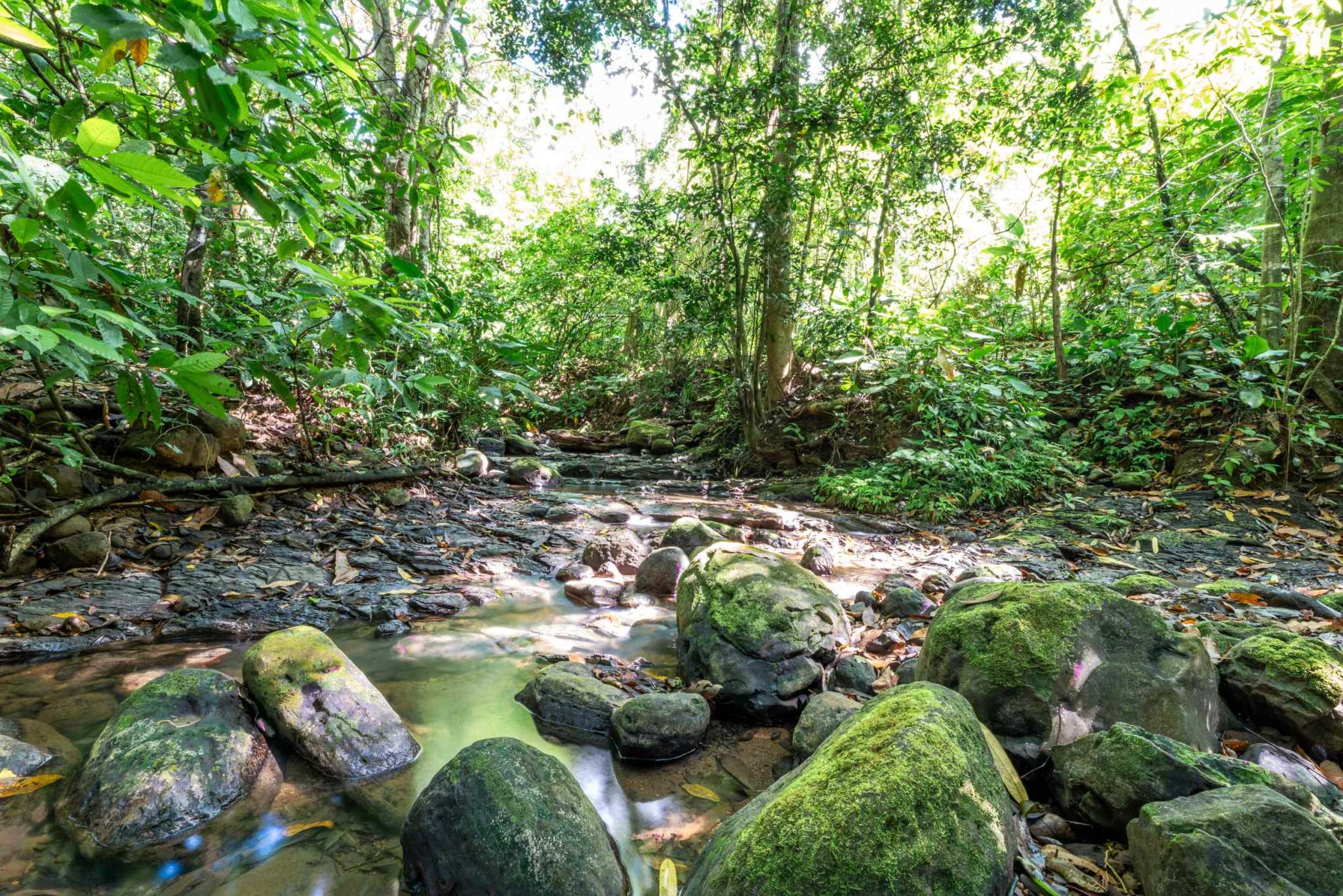 74956-4 Twin Jungle-View 2+ Acre Building Lots with Legal Water in Uvita Costa Rica