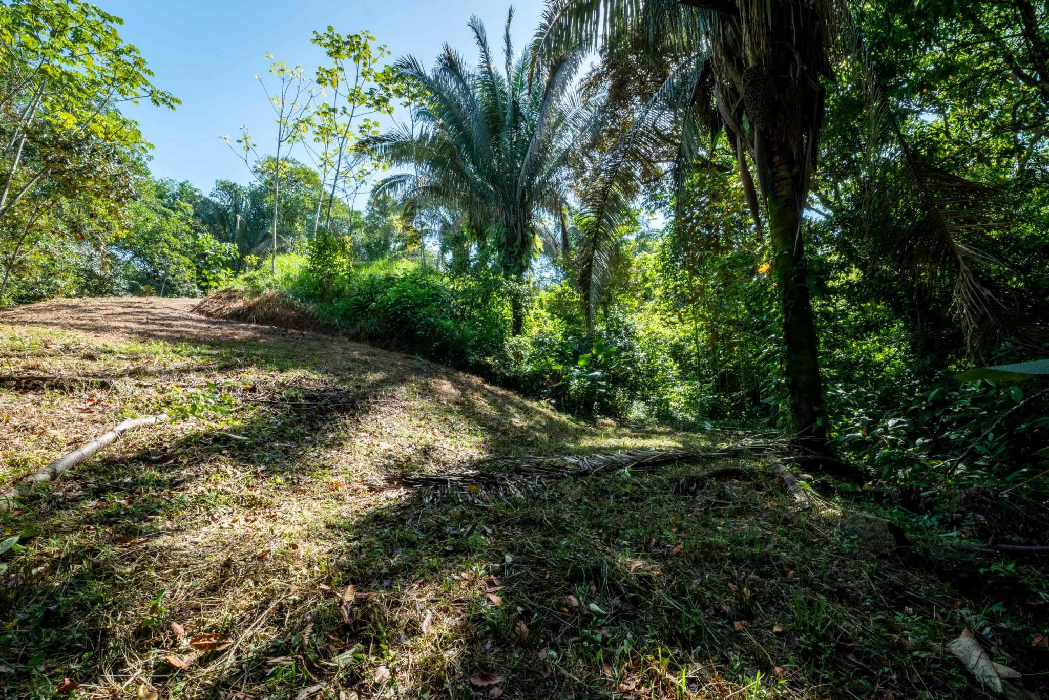 74956-5 Twin Jungle-View 2+ Acre Building Lots with Legal Water in Uvita Costa Rica