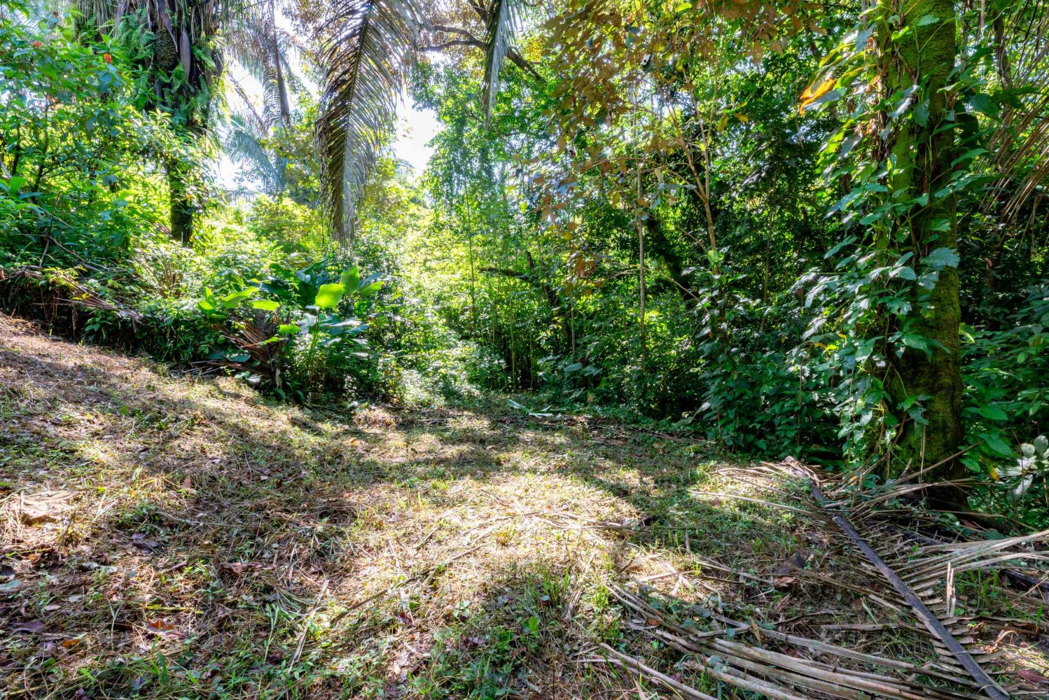 74956-6 Twin Jungle-View 2+ Acre Building Lots with Legal Water in Uvita Costa Rica