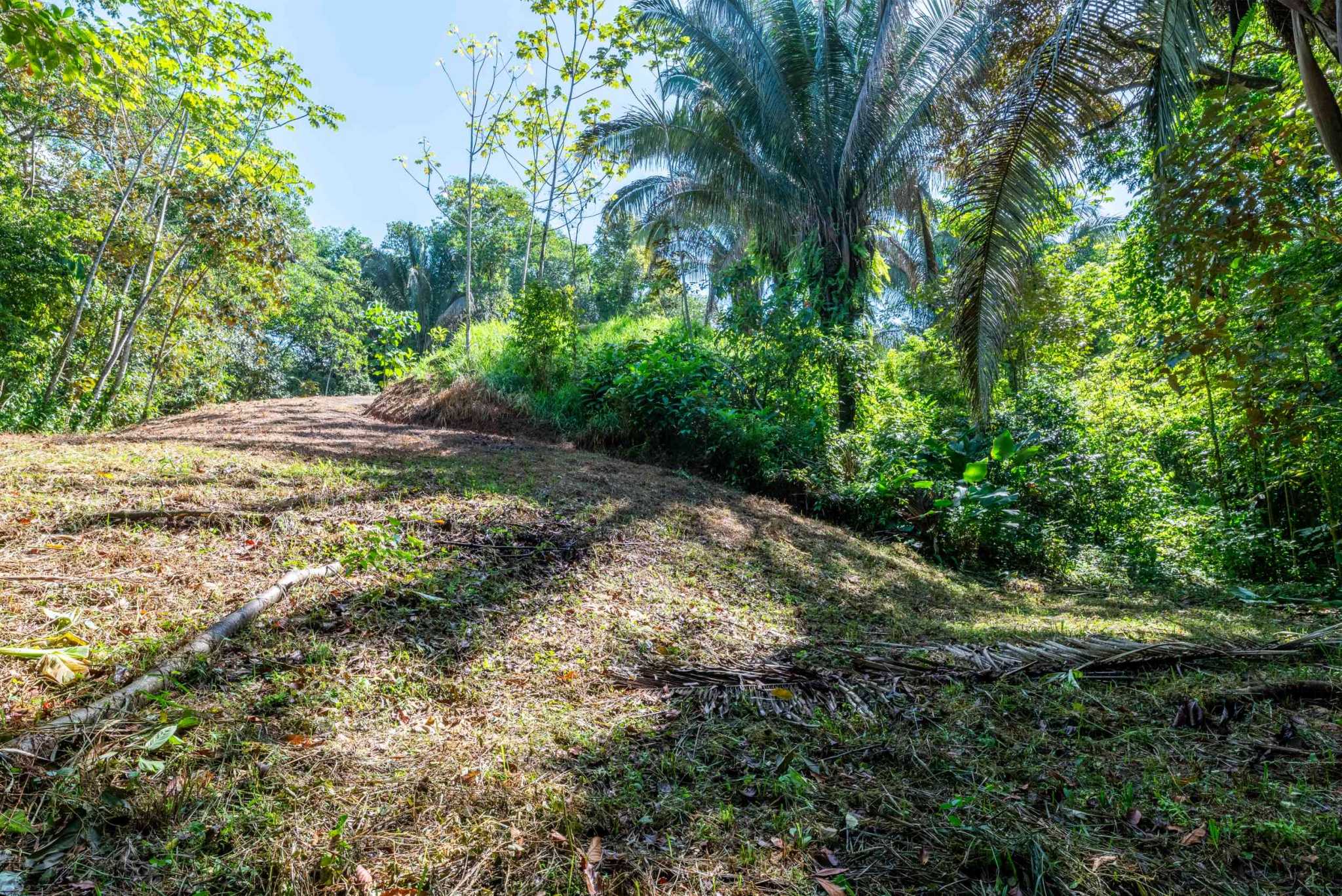 74956-7 Twin Jungle-View 2+ Acre Building Lots with Legal Water in Uvita Costa Rica