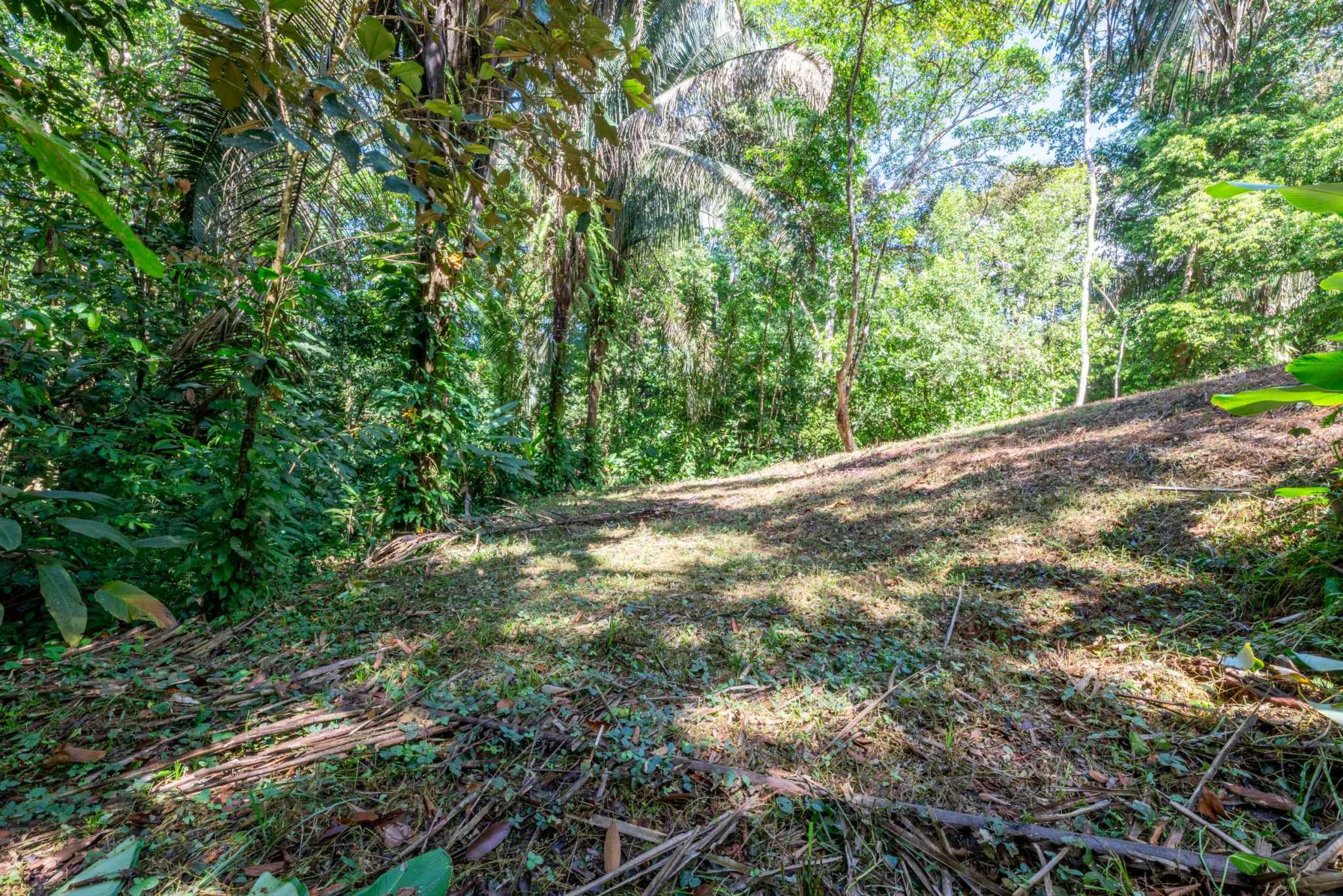74956-8 Twin Jungle-View 2+ Acre Building Lots with Legal Water in Uvita Costa Rica