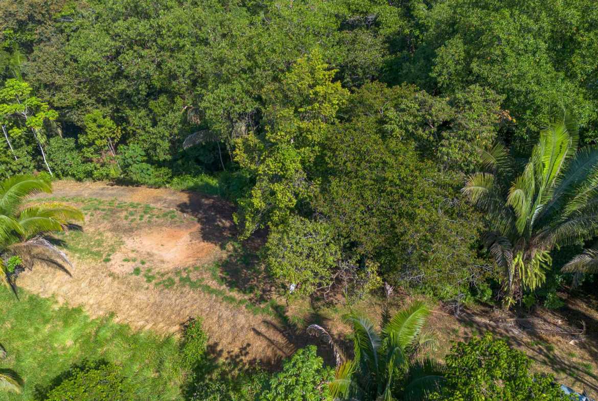 Twin Jungle-View 2+ Acre Building Lots with Legal Water, photo 9 of 17