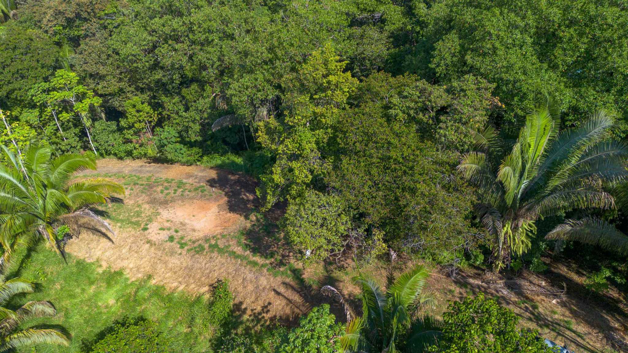 74956-9 Twin Jungle-View 2+ Acre Building Lots with Legal Water in Uvita Costa Rica