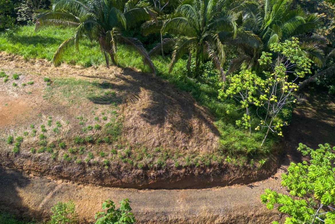 Twin Jungle-View 2+ Acre Building Lots with Legal Water, photo 10 of 17