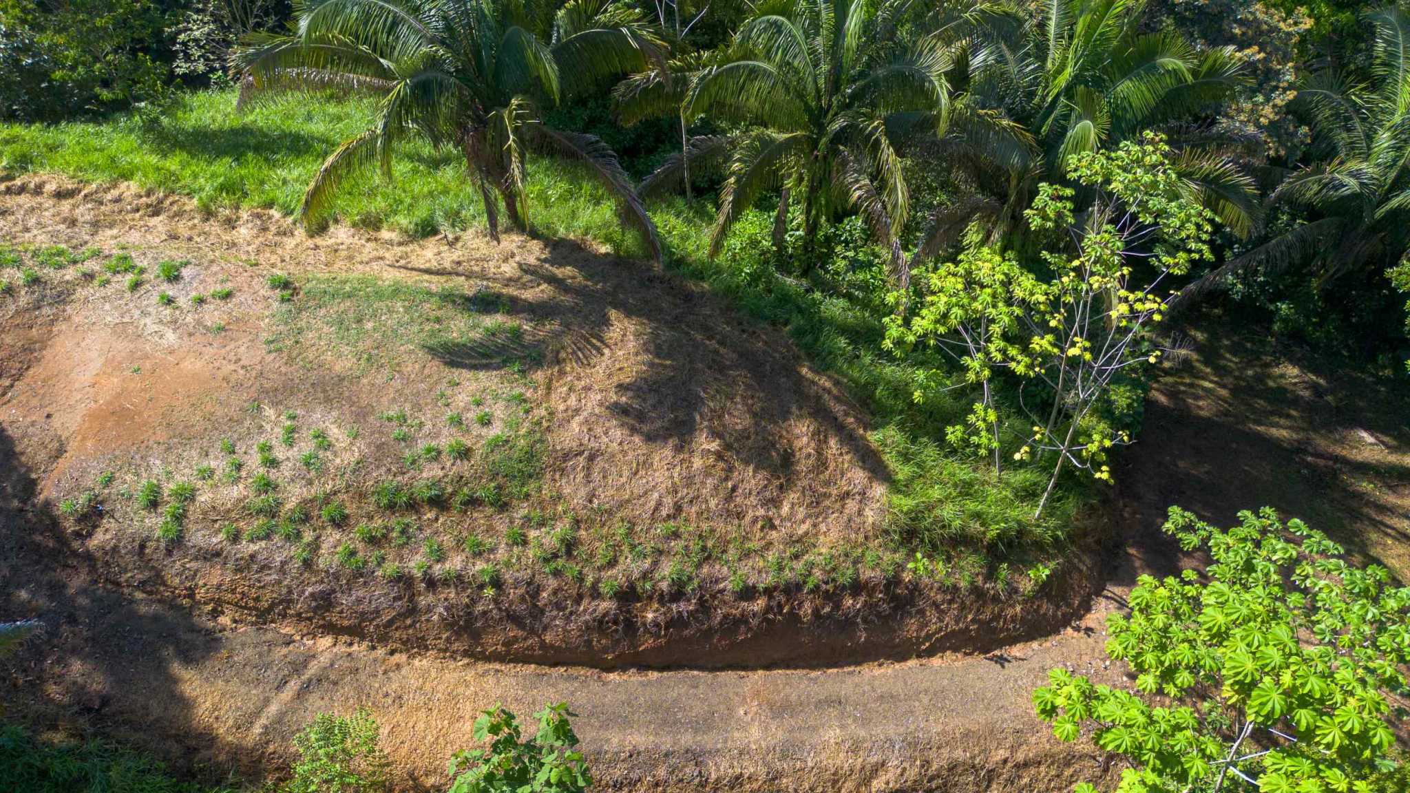 74956-10 Twin Jungle-View 2+ Acre Building Lots with Legal Water in Uvita Costa Rica
