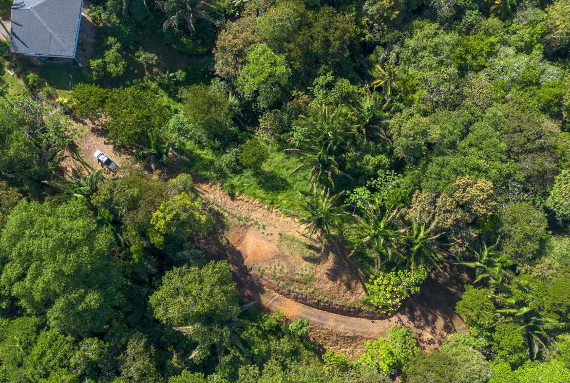 Twin Jungle-View 2+ Acre Building Lots with Legal Water, photo 11 of 17