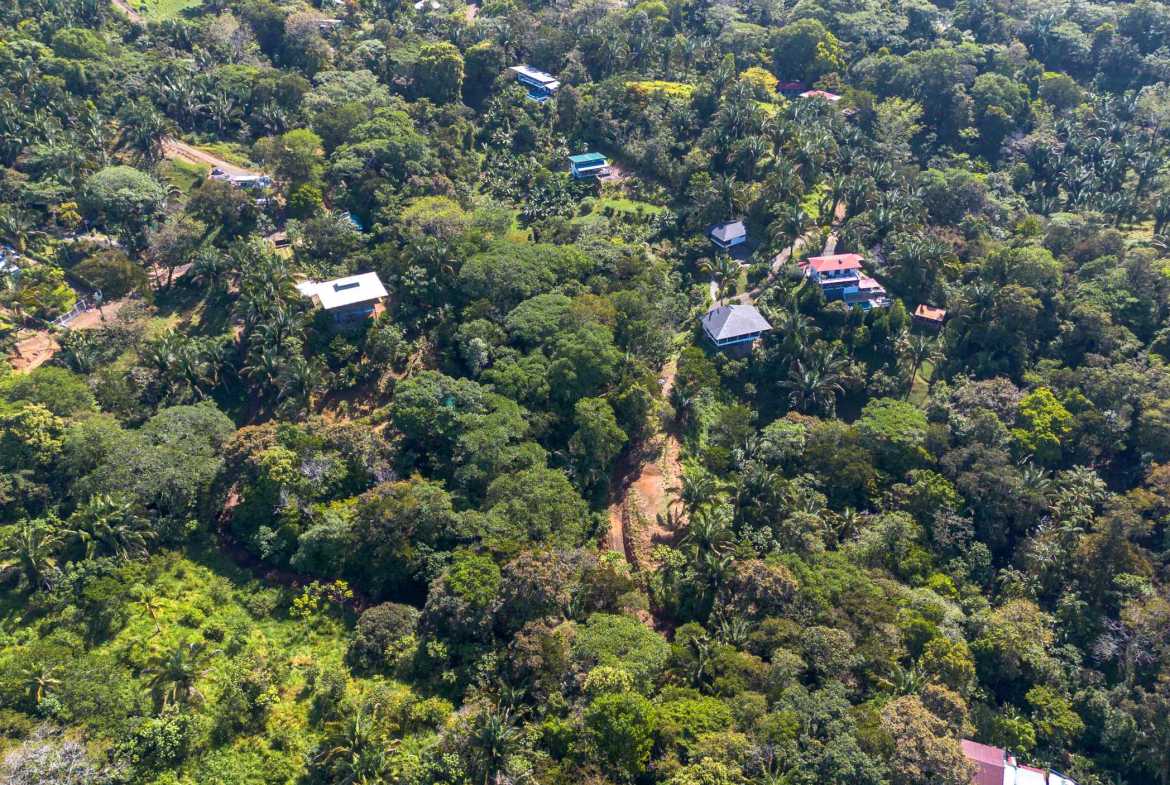 Twin Jungle-View 2+ Acre Building Lots with Legal Water, photo 13 of 17
