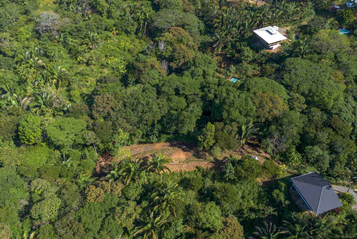 Twin Jungle-View 2+ Acre Building Lots with Legal Water, photo 14 of 17
