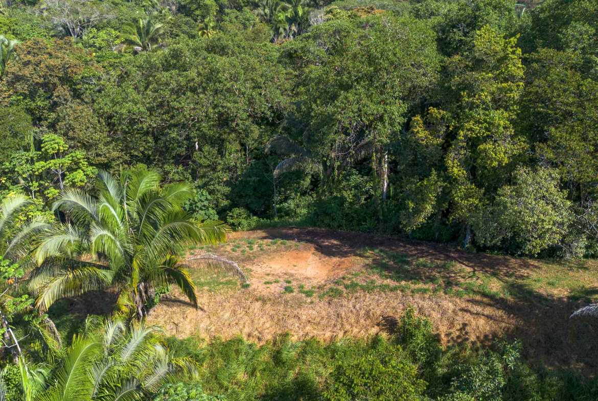 Twin Jungle-View 2+ Acre Building Lots with Legal Water, photo 15 of 17