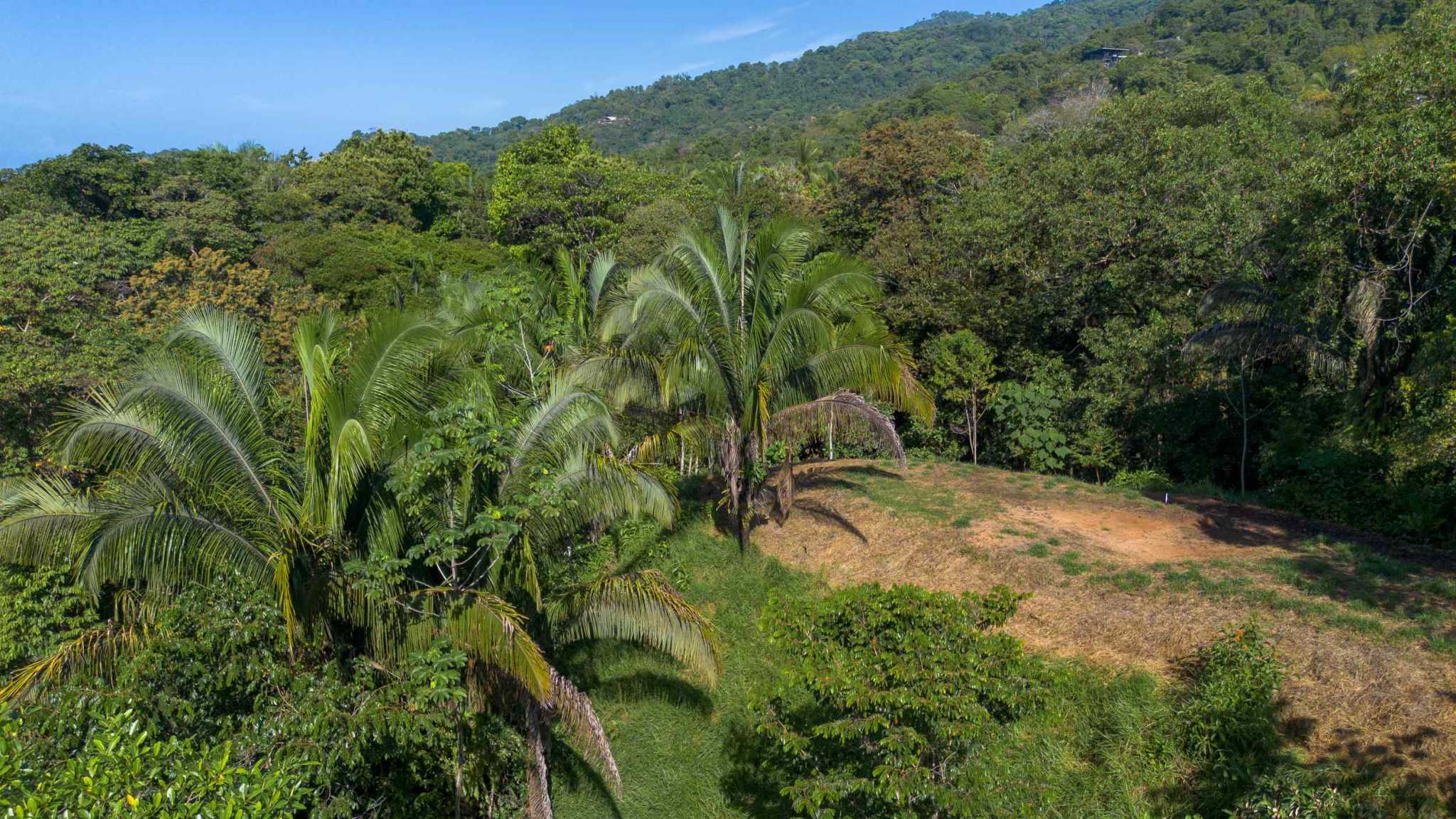 74956-16 Twin Jungle-View 2+ Acre Building Lots with Legal Water in Uvita Costa Rica