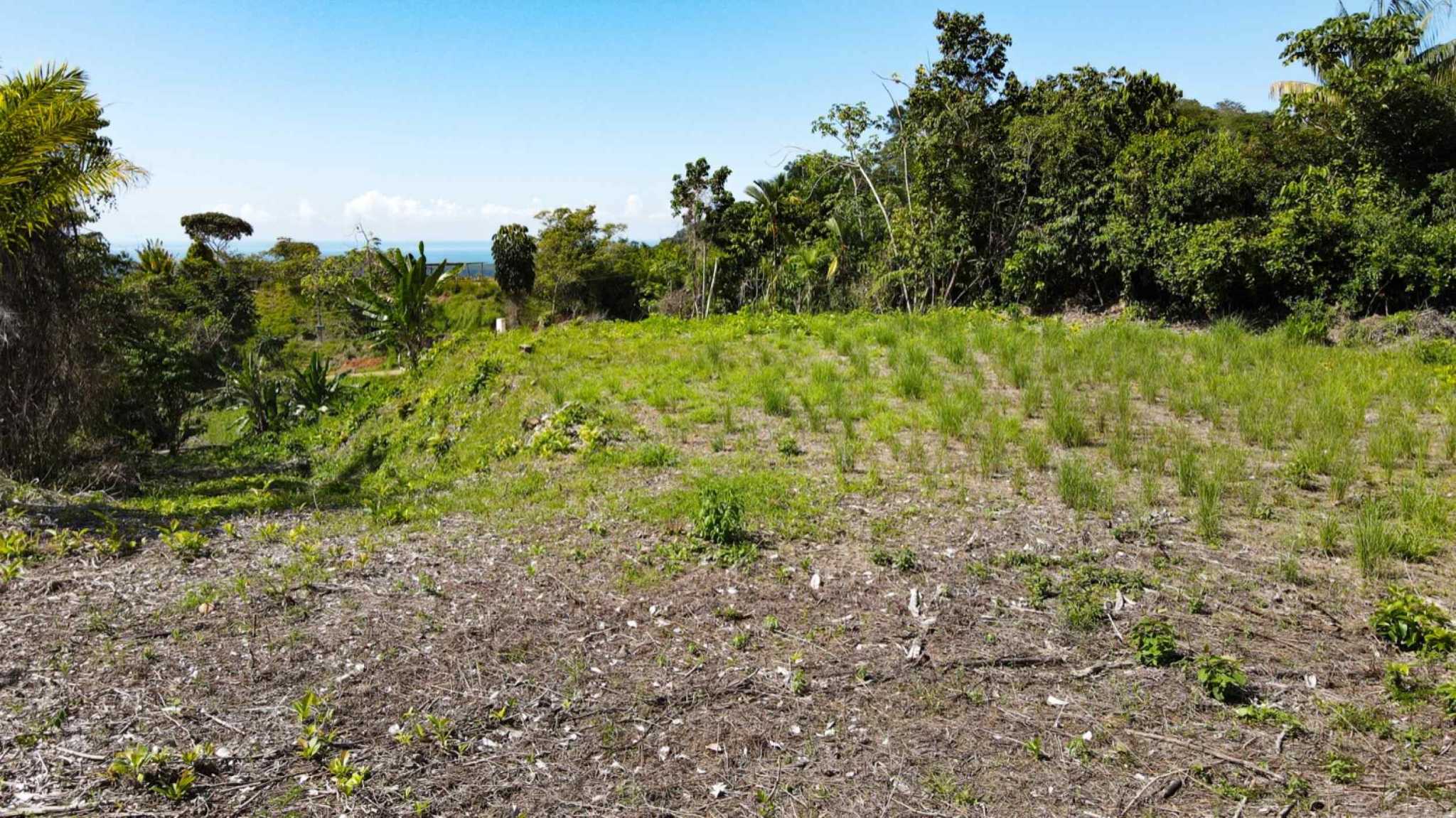 74958-5 Spectacular Ocean and River View 1+ Acre Building Lot in Tres Rios Costa Rica