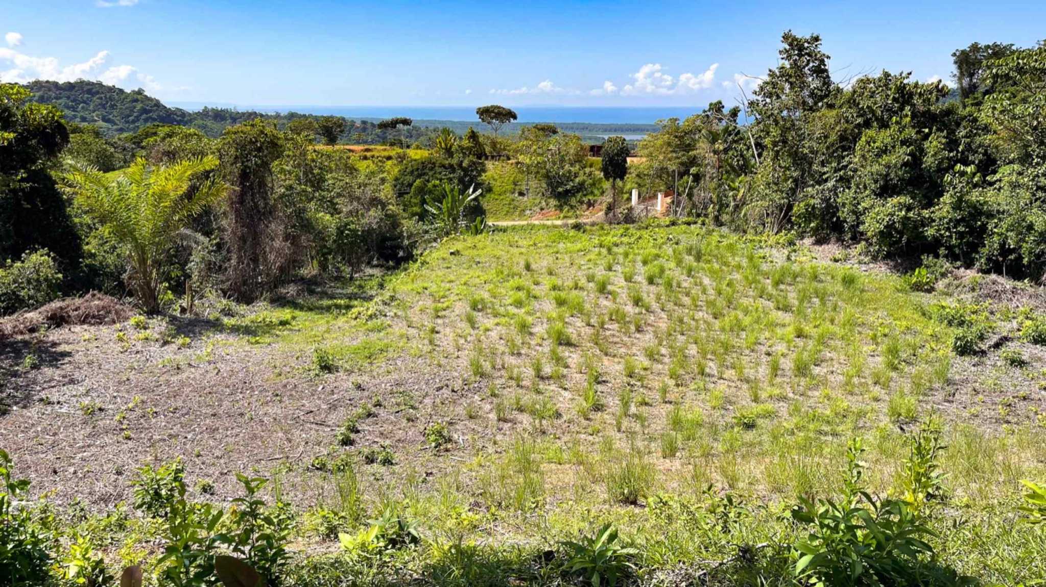 74958-8 Spectacular Ocean and River View 1+ Acre Building Lot in Tres Rios Costa Rica