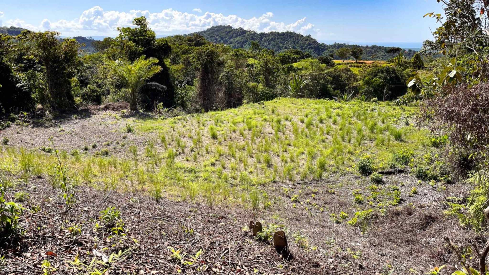 74958-9 Spectacular Ocean and River View 1+ Acre Building Lot in Tres Rios Costa Rica