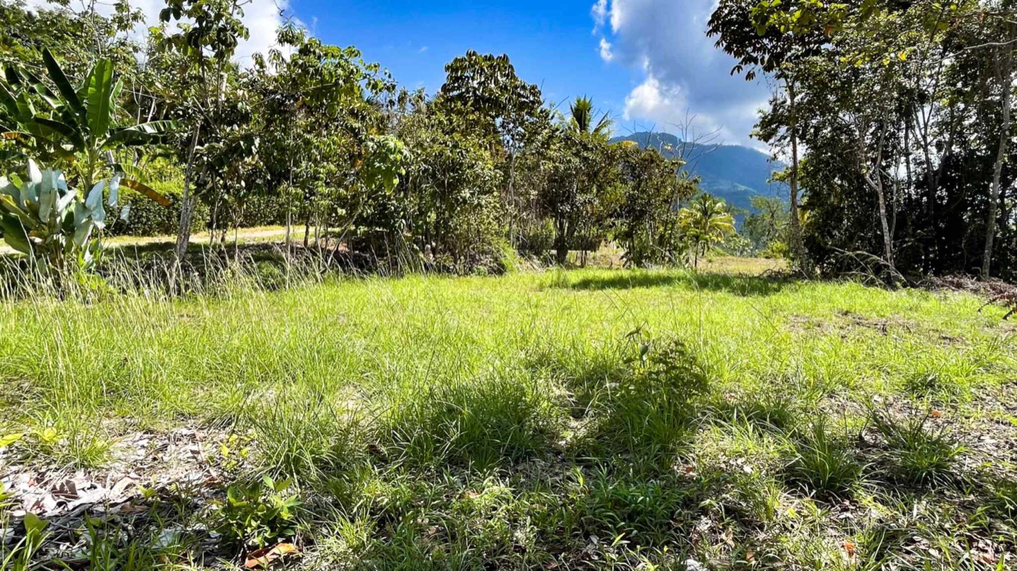 74958-10 Spectacular Ocean and River View 1+ Acre Building Lot in Tres Rios Costa Rica