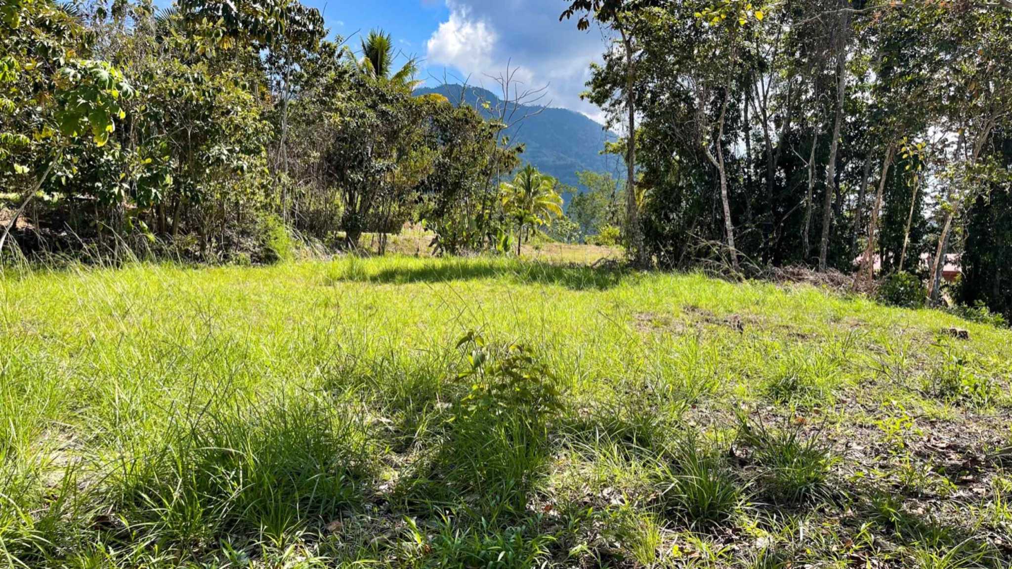 74958-11 Spectacular Ocean and River View 1+ Acre Building Lot in Tres Rios Costa Rica