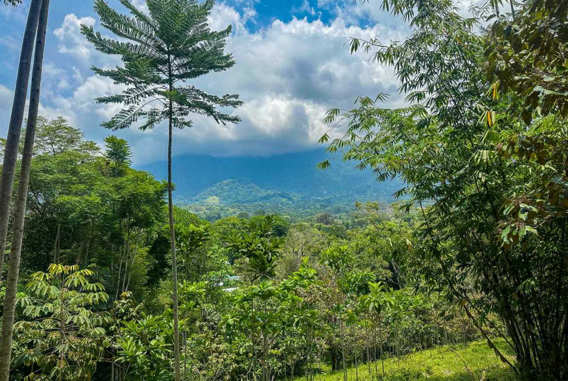 Prime Ocean & Mountain View 4-Acre Building Lot with Legal Water in Ojochal Costa Rica