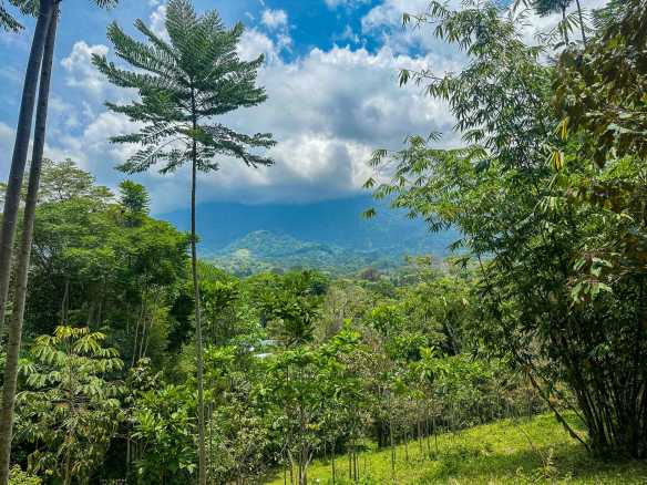 Prime Ocean & Mountain View 4-Acre Building Lot with Legal Water in Ojochal Costa Rica