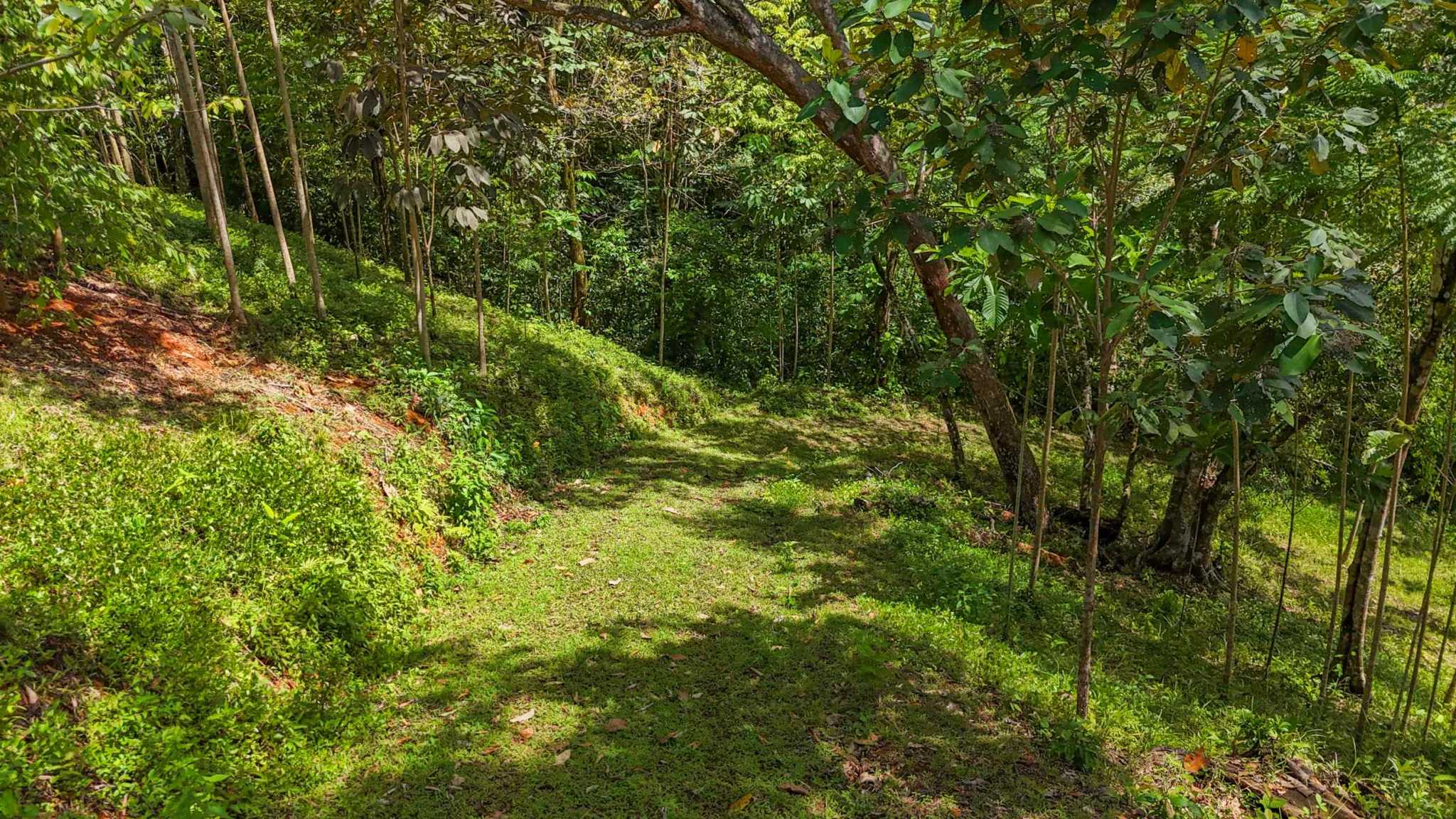 74960-3 Prime Ocean & Mountain View 4-Acre Building Lot with Legal Water in Ojochal Costa Rica