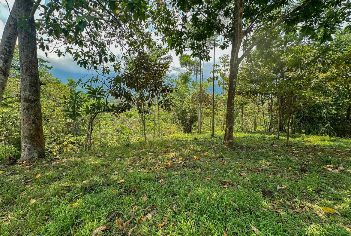 Ocean & Mountain View 4-Acre Building Lot with Legal Water, photo 4 of 24