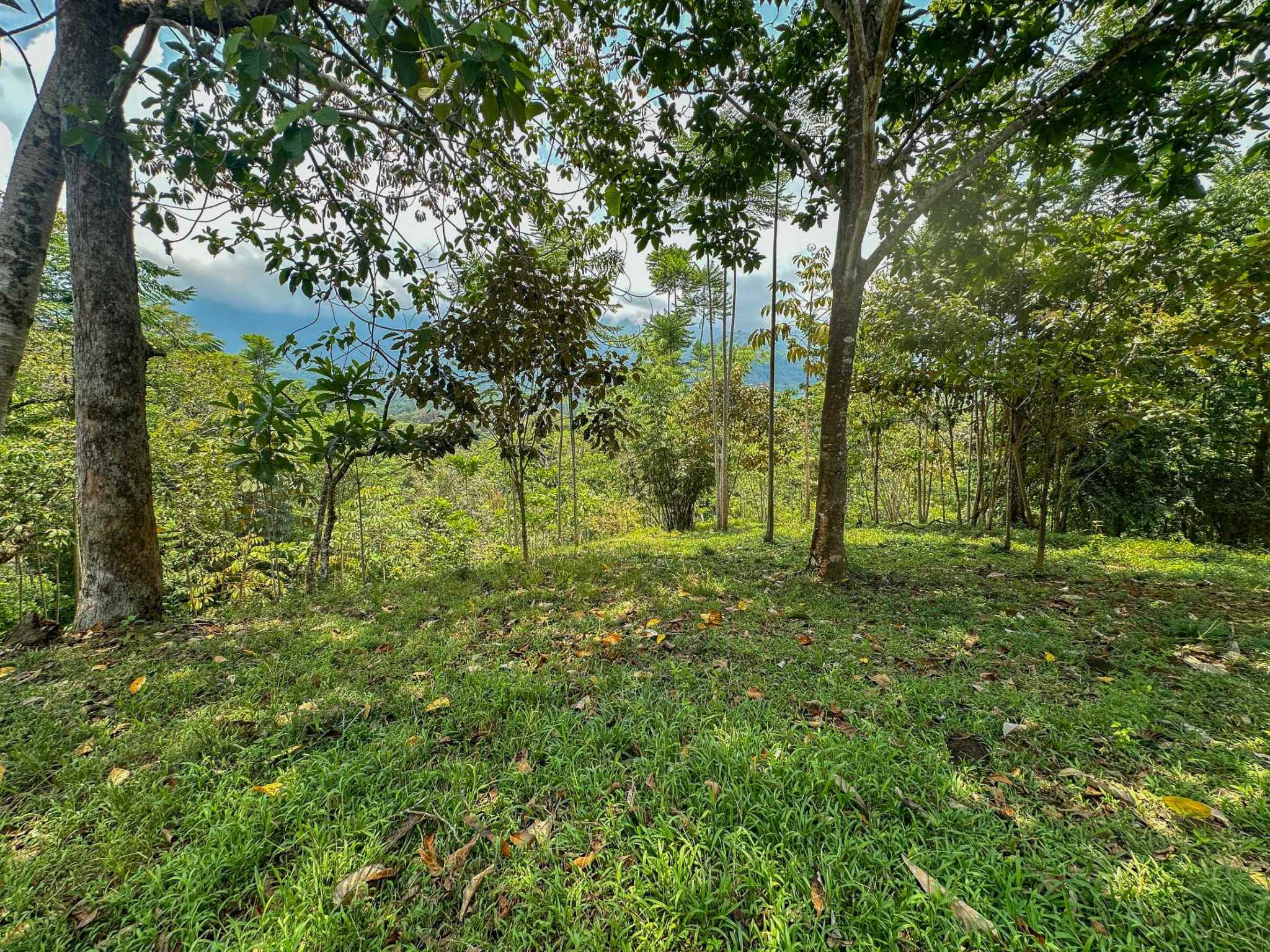 74960-4 Prime Ocean & Mountain View 4-Acre Building Lot with Legal Water in Ojochal Costa Rica