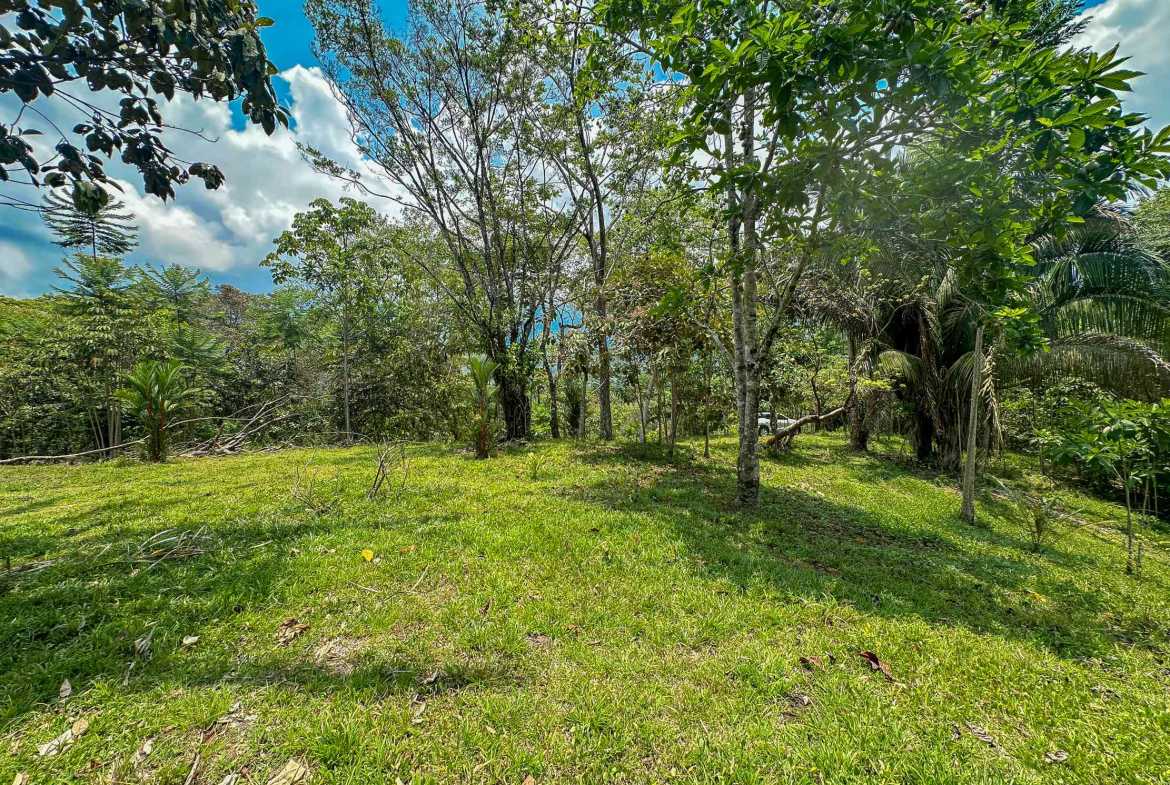 Ocean & Mountain View 4-Acre Building Lot with Legal Water, photo 6 of 24