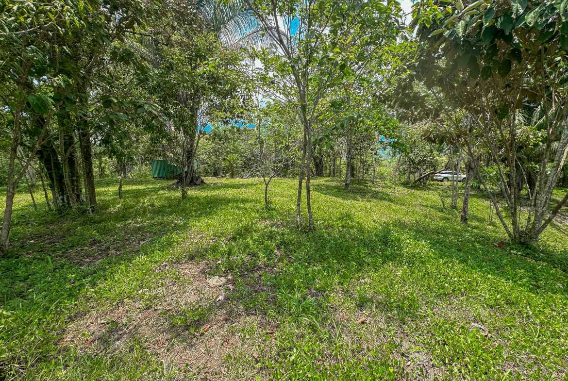 Ocean & Mountain View 4-Acre Building Lot with Legal Water, photo 7 of 24