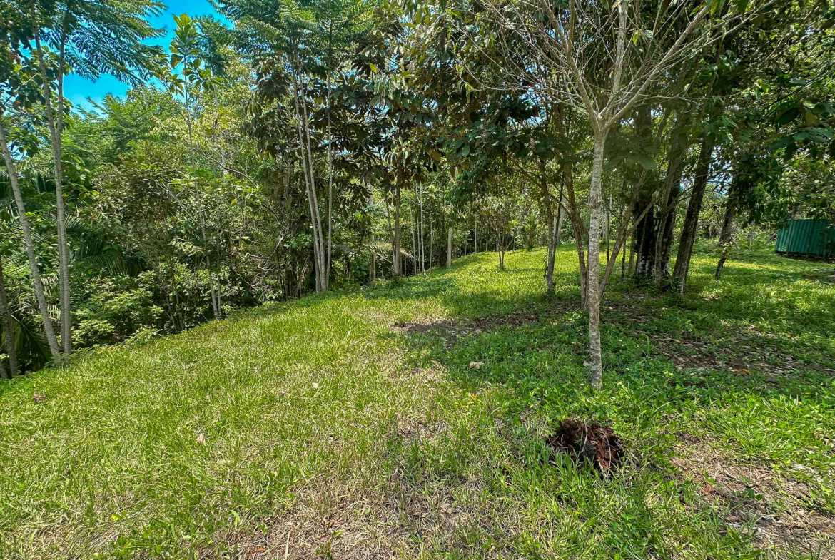 Ocean & Mountain View 4-Acre Building Lot with Legal Water, photo 8 of 24