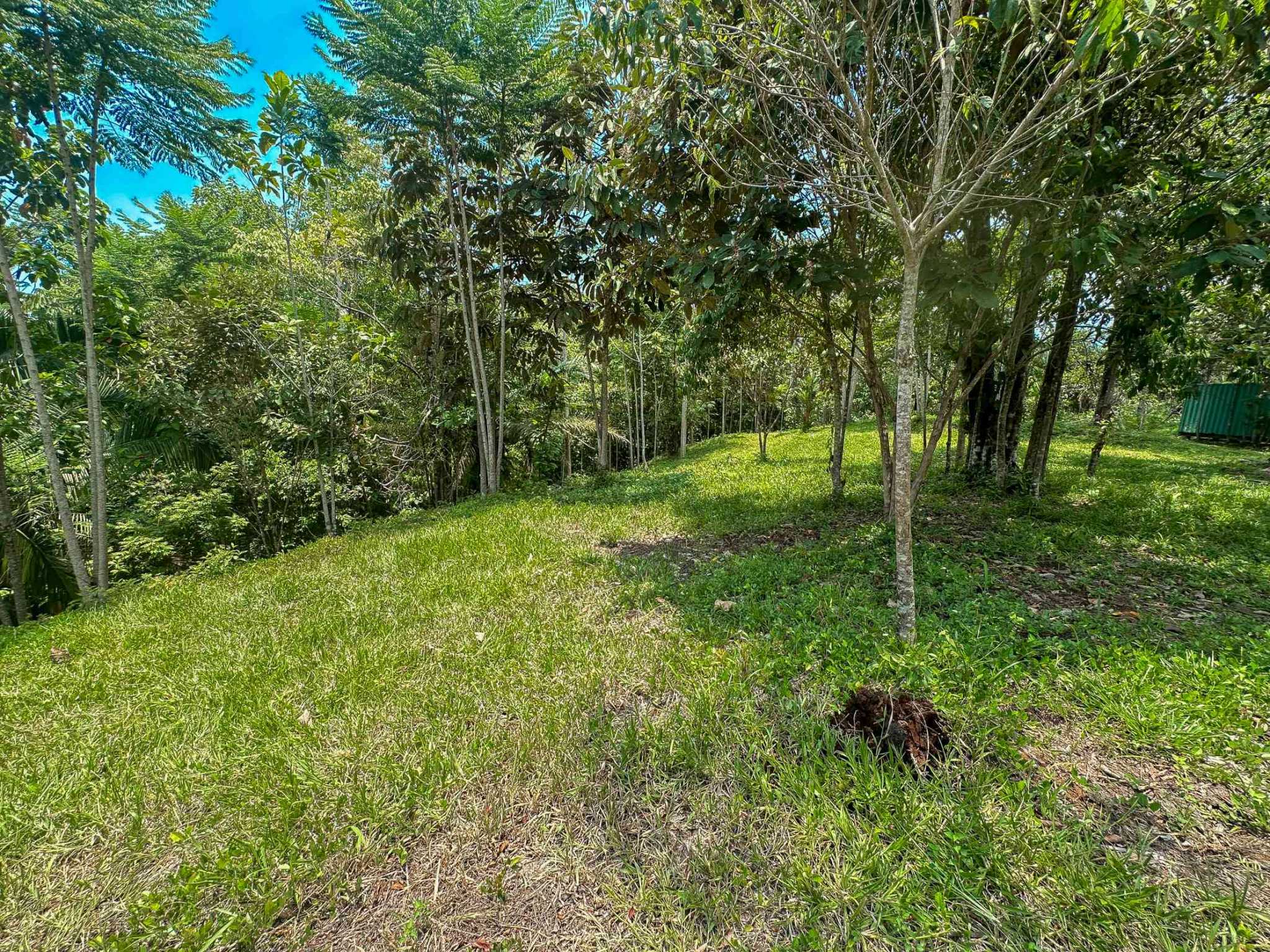 74960-8 Prime Ocean & Mountain View 4-Acre Building Lot with Legal Water in Ojochal Costa Rica