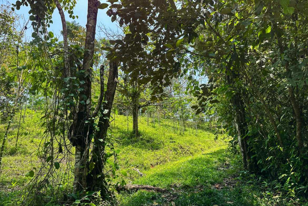 Ocean & Mountain View 4-Acre Building Lot with Legal Water, photo 10 of 24