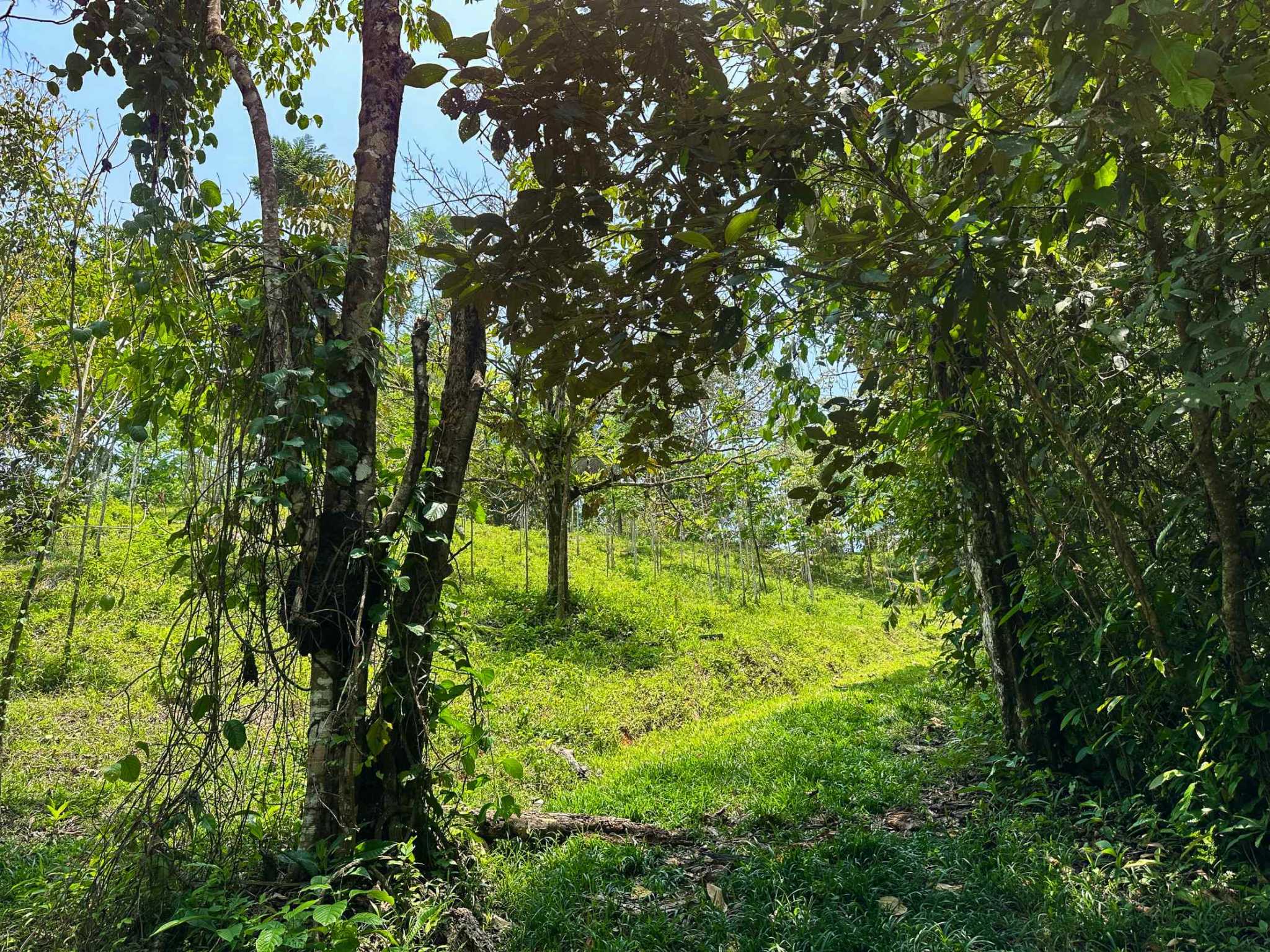 74960-10 Prime Ocean & Mountain View 4-Acre Building Lot with Legal Water in Ojochal Costa Rica