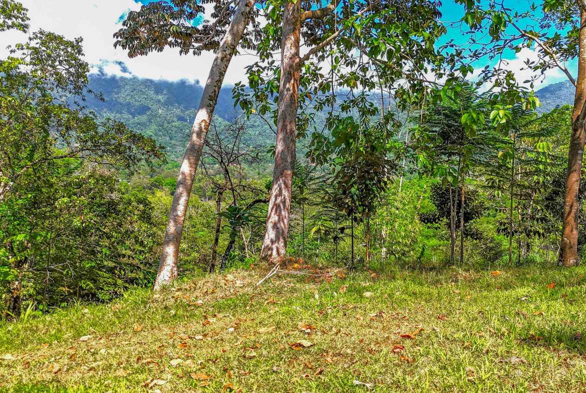 Ocean & Mountain View 4-Acre Building Lot with Legal Water, photo 12 of 24