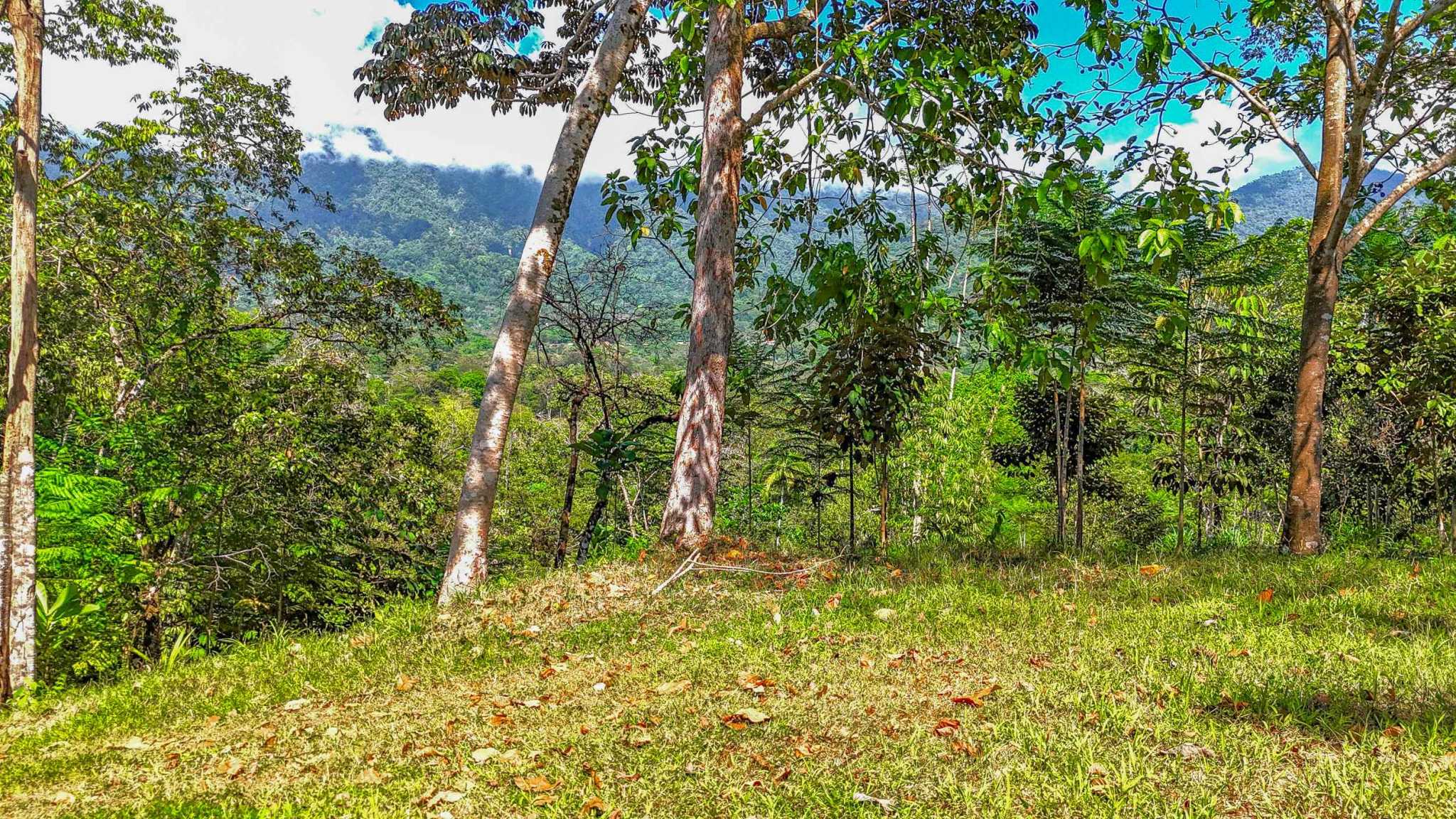 74960-12 Prime Ocean & Mountain View 4-Acre Building Lot with Legal Water in Ojochal Costa Rica