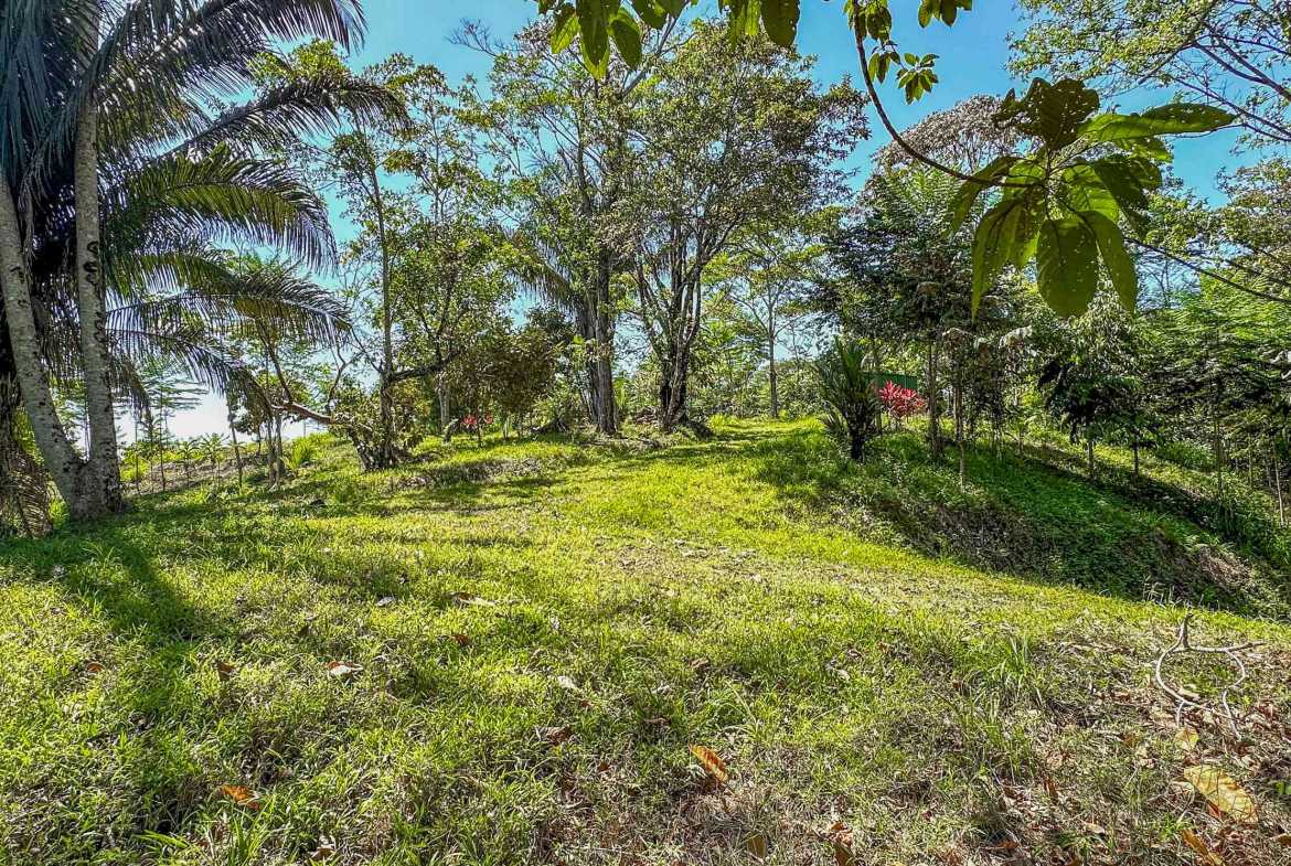 Ocean & Mountain View 4-Acre Building Lot with Legal Water, photo 13 of 24