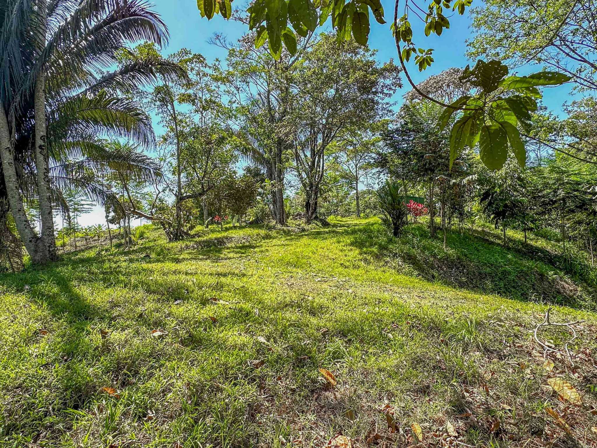 74960-13 Prime Ocean & Mountain View 4-Acre Building Lot with Legal Water in Ojochal Costa Rica
