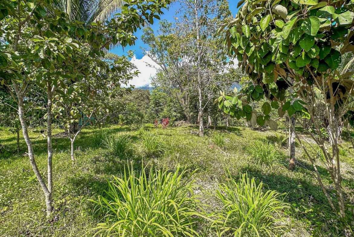 Ocean & Mountain View 4-Acre Building Lot with Legal Water, photo 14 of 24
