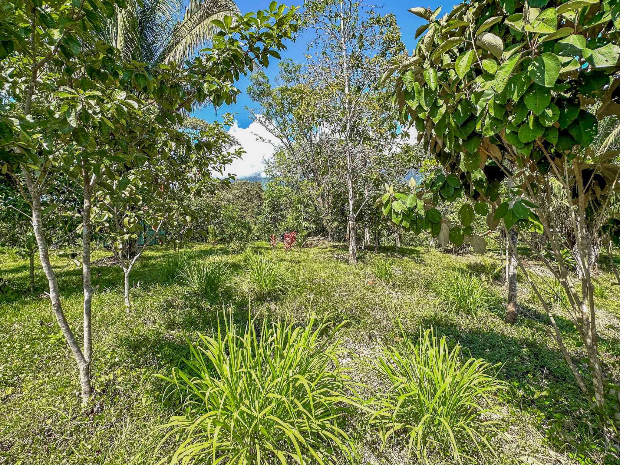 74960-14 Prime Ocean & Mountain View 4-Acre Building Lot with Legal Water in Ojochal Costa Rica