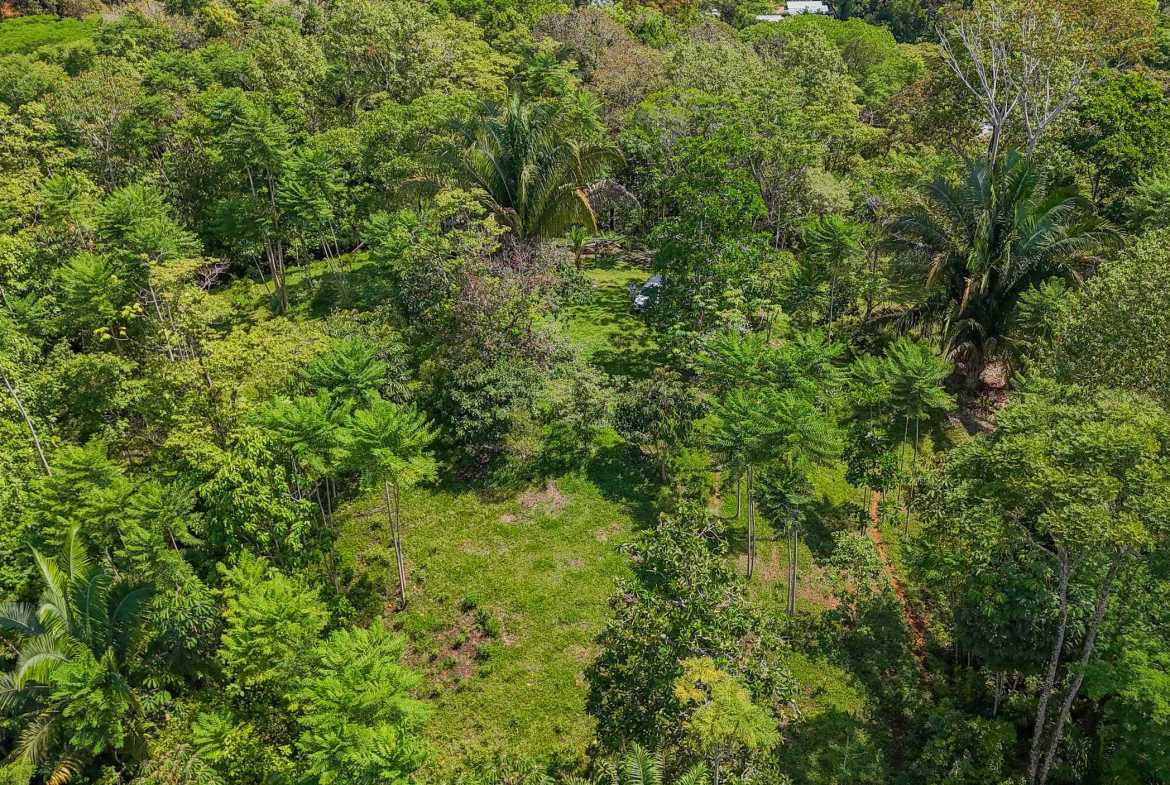 Ocean & Mountain View 4-Acre Building Lot with Legal Water, photo 16 of 24